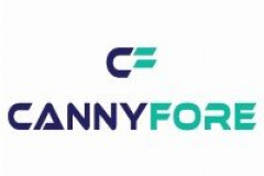 Build Operate Transfer Model Offshore Development Team